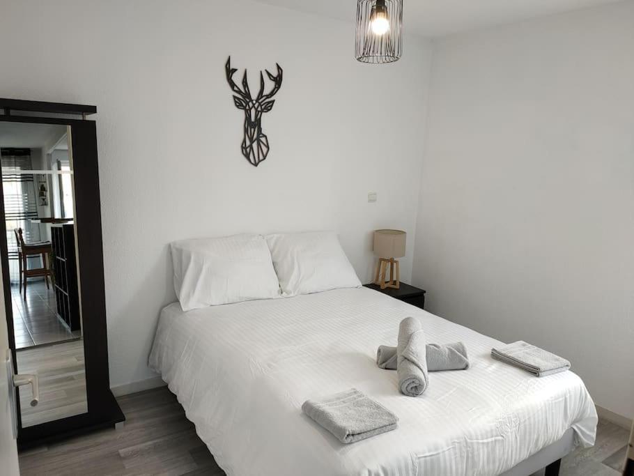 Spacieux Et Joli Appartement De 2 A 4 Personnes • Parking • Wifi Fenouillet  Exterior photo